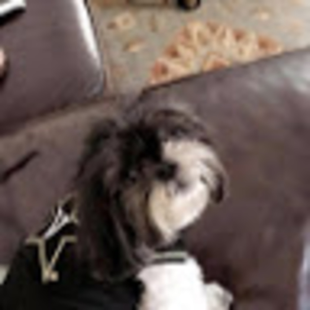 Meet your Posher, Portia